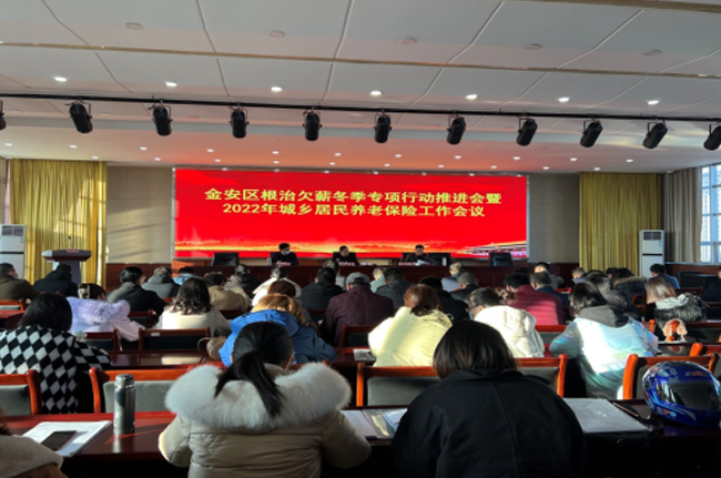 金安区召开2022年度城乡居民基本养老保险民生工作会议